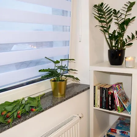 Maya's Flats & 49 - Spacious 3 In Szafarnia Gdańsk