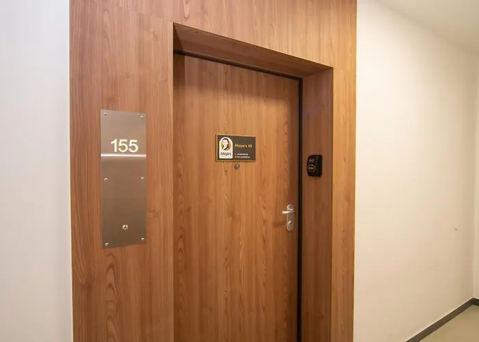 شقة Maya's Flats & 49 - Spacious 3 غدانسك