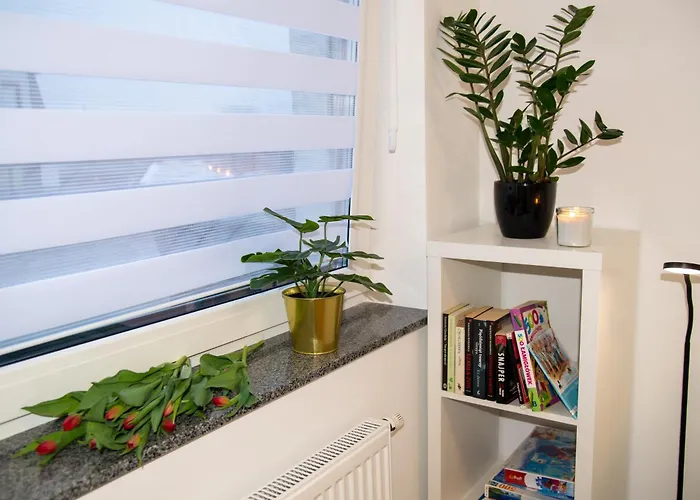 Maya's Flats & 49 - Spacious 3